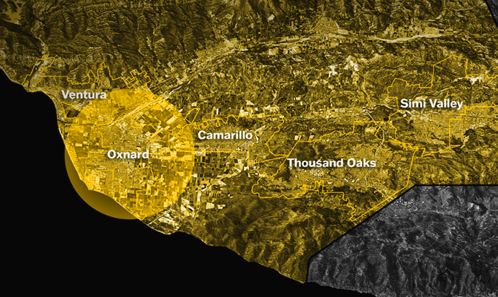 Oxnard Yellow